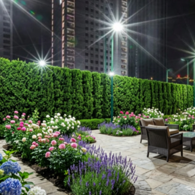 lampadaire 100W eclairant jardin cour arriere avec haie cedres