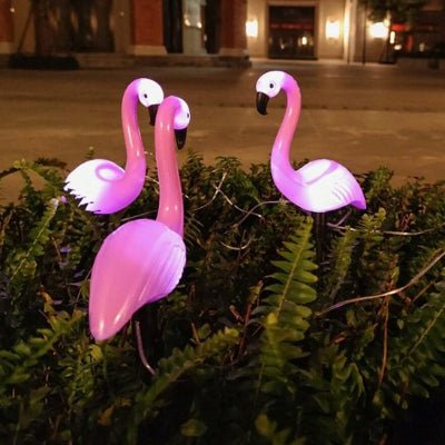 LUMINAIRE EXTERIEUR SOLAIRE | FLAMANTS - Déco Jardin Soleil