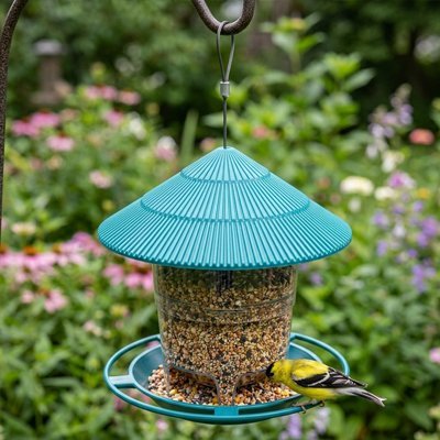 Mangeoire pour oiseaux | Robuste et Facile - Déco Jardin Soleil