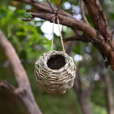 Nichoir oiseau | Écologique et Résistant - Déco Jardin Soleil