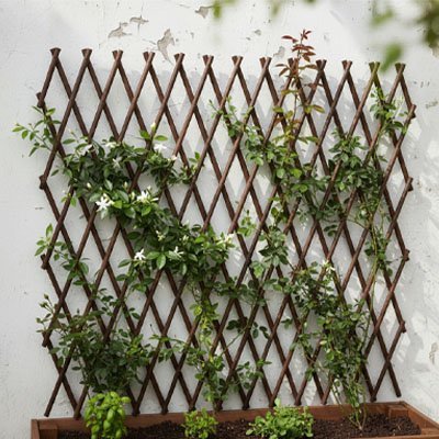Treillis en bois | Jardin Élégant - Déco Jardin Soleil
